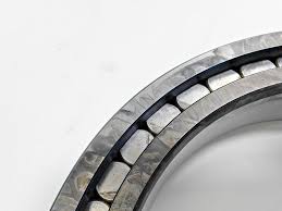 SL18 2924B INA Cylindrical Roller Bearing